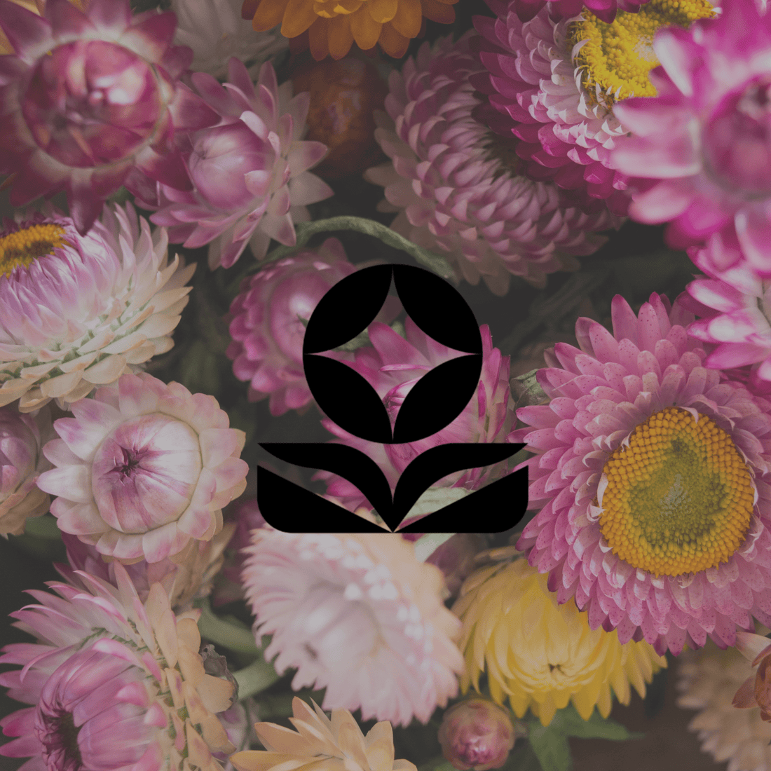 How to start a garden with no experience - Minimalist Gardener