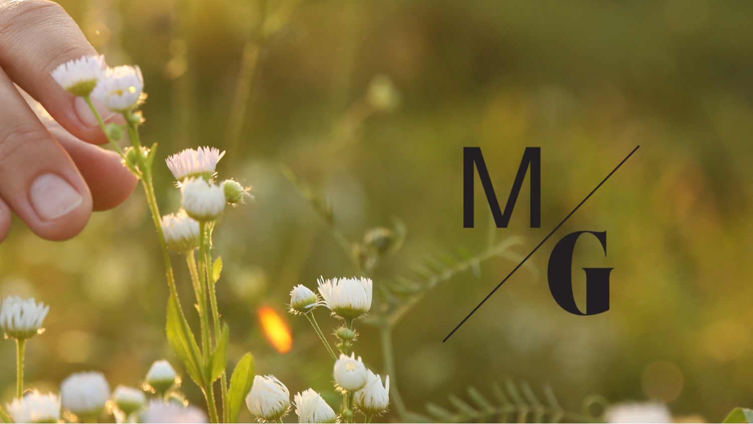 Hand touching a white flower in a field with 'MG' logo overlay