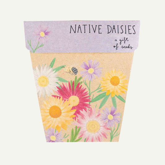 Sow n' Sow Native Daisies Australian Native Gift of Seeds > Home & Garden > Garden Accessories > Australian Native Seeds - Minimalist Gardener