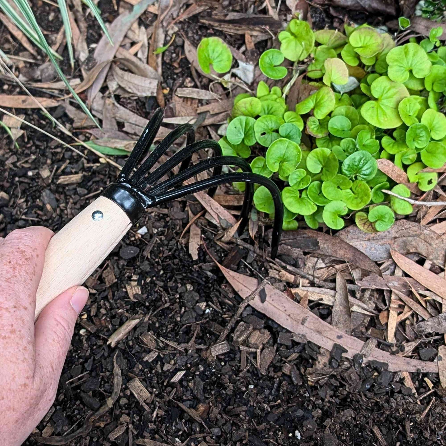 Asano Japanese Ninja Claw Rake & Cultivator Home & Garden > Garden Tools > Hand Tools - Minimalist Gardener
