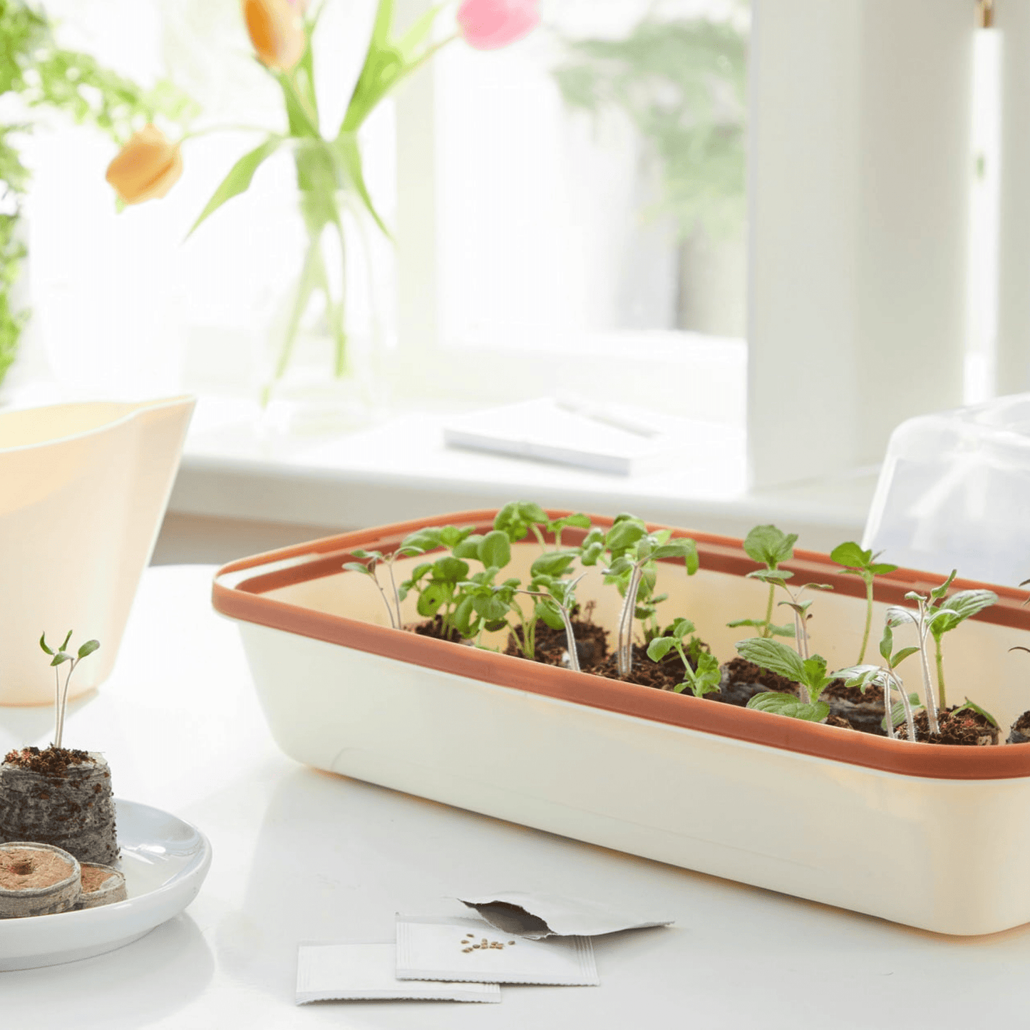 BoQube M Growing Tray Cream Copper Home & Garden > Garden Accessories > Planting - Minimalist Gardener