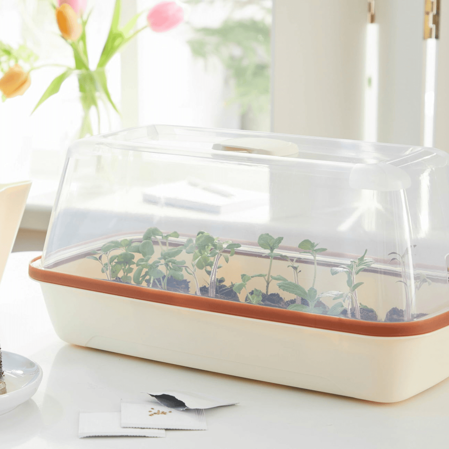 BoQube M Growing Tray Cream Copper Home & Garden > Garden Accessories > Planting - Minimalist Gardener