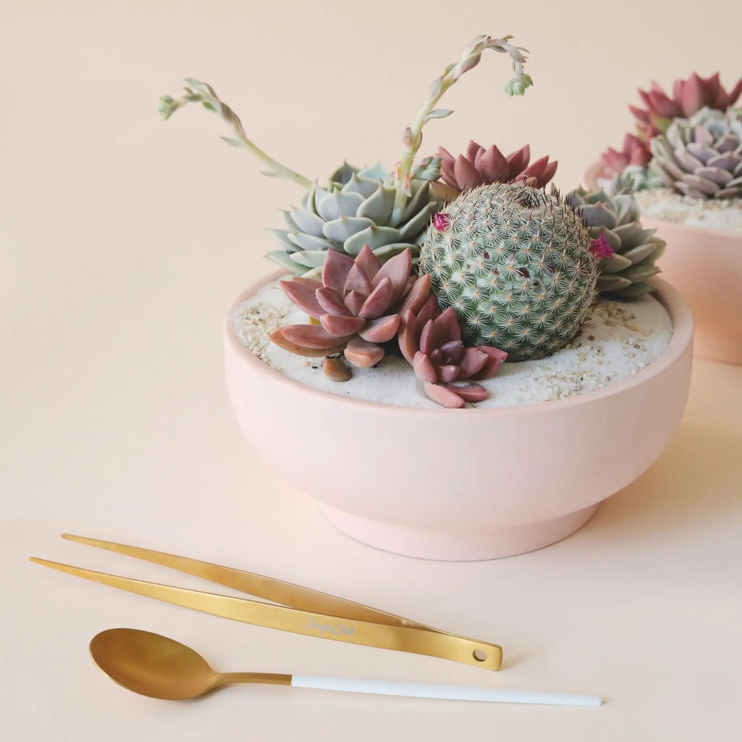 Brass Planting Tweezers Home & Garden > Garden Tools > Gardening Tools - Minimalist Gardener