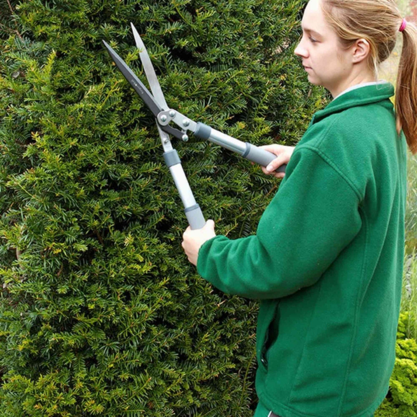 Burgon & Ball RHS Hedge Shears Home & Garden > Garden Tools > Hedge Shears - Minimalist Gardener