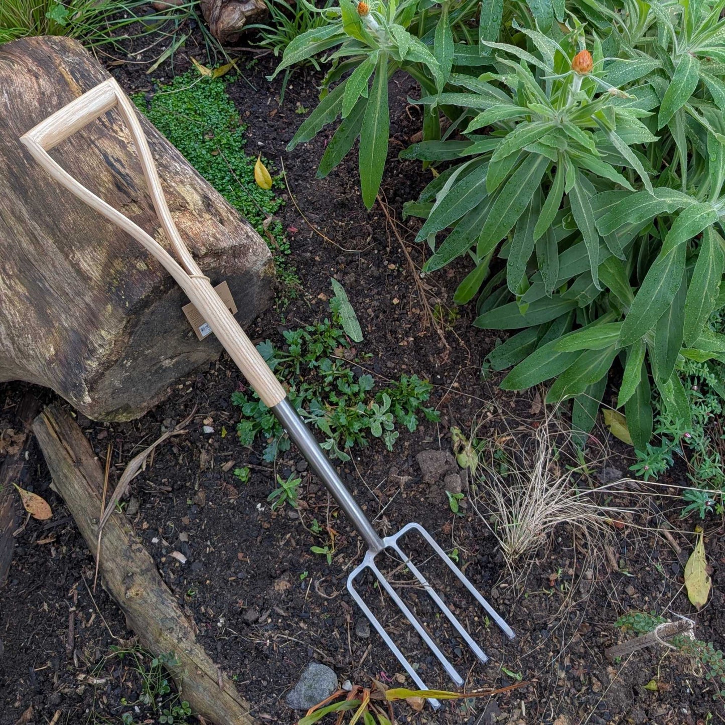 Children's Garden Tool D - Handle Fork Home & Garden > Garden Tools > Children's Garden Tools - Minimalist Gardener