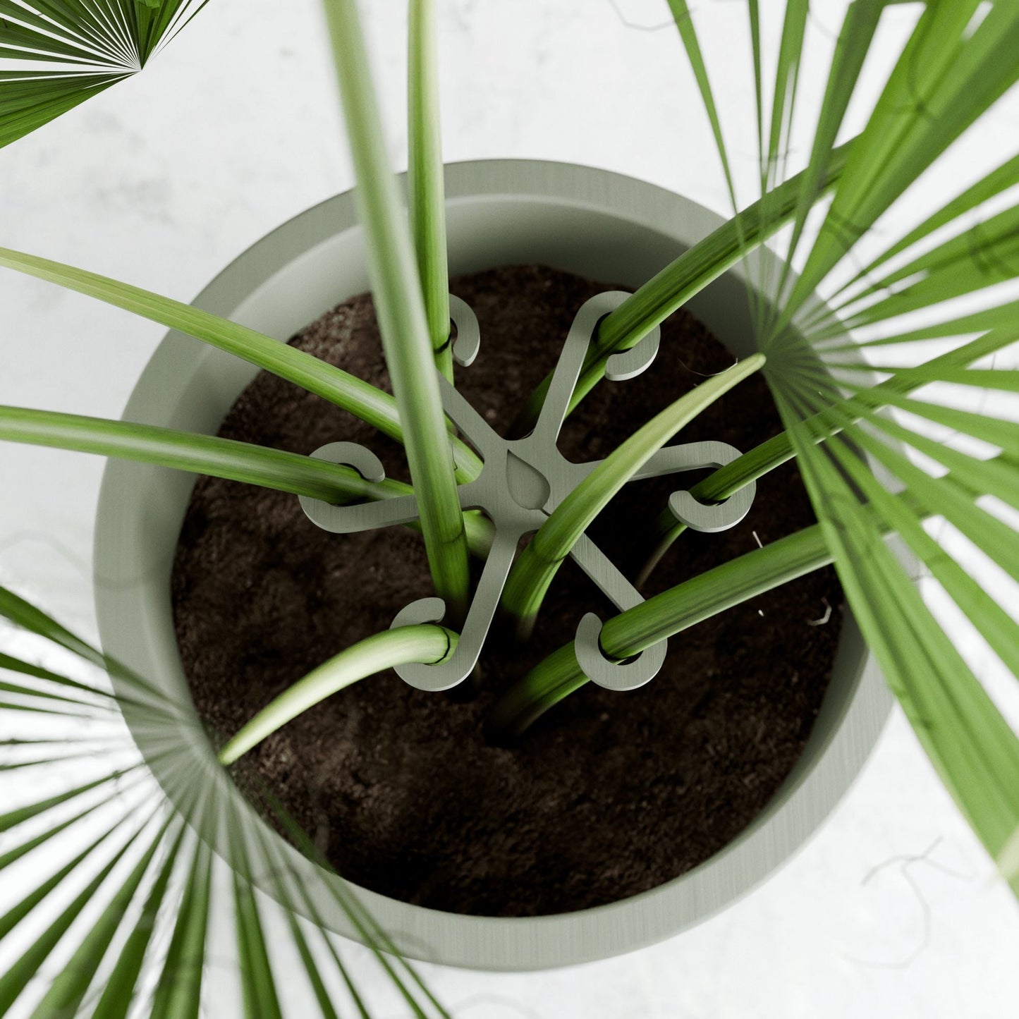 Climbing Plant Stem Support Stakes 4 Pack - Multiple Sizes Home & Garden > Indoor Plants > Plant Support - Minimalist Gardener