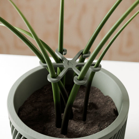 Climbing Plant Stem Support Stakes 4 Pack Home & Garden > Indoor Plants > Plant Support - Minimalist Gardener