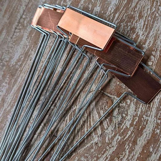 Copper Plant Labels with Steel Stakes | Pack of 10 Home & Garden > Garden Labels > Slate Plant Tags - Minimalist Gardener