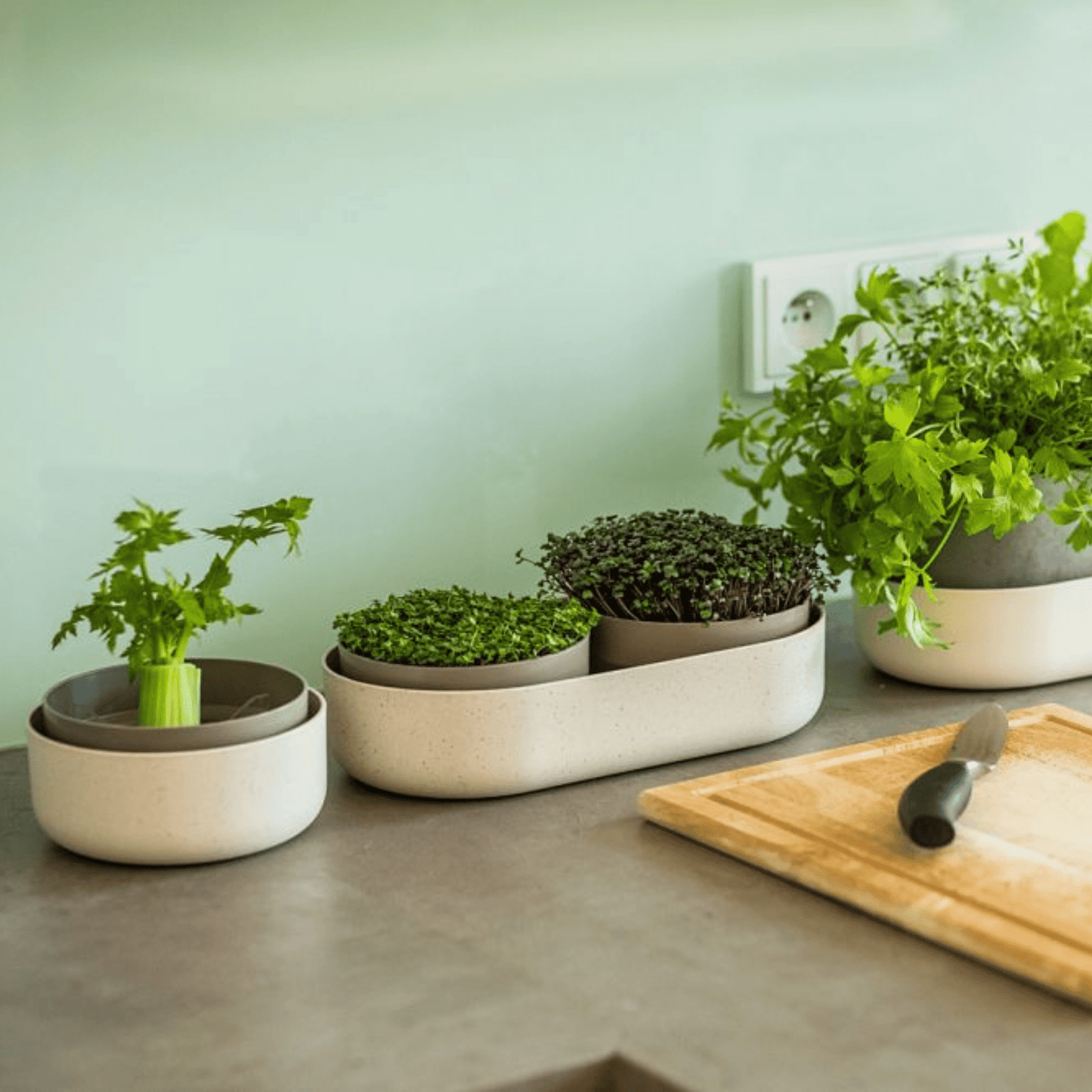 Microgreens Sprouting Kit Home & Garden > Garden Accessories > Planting - Minimalist Gardener