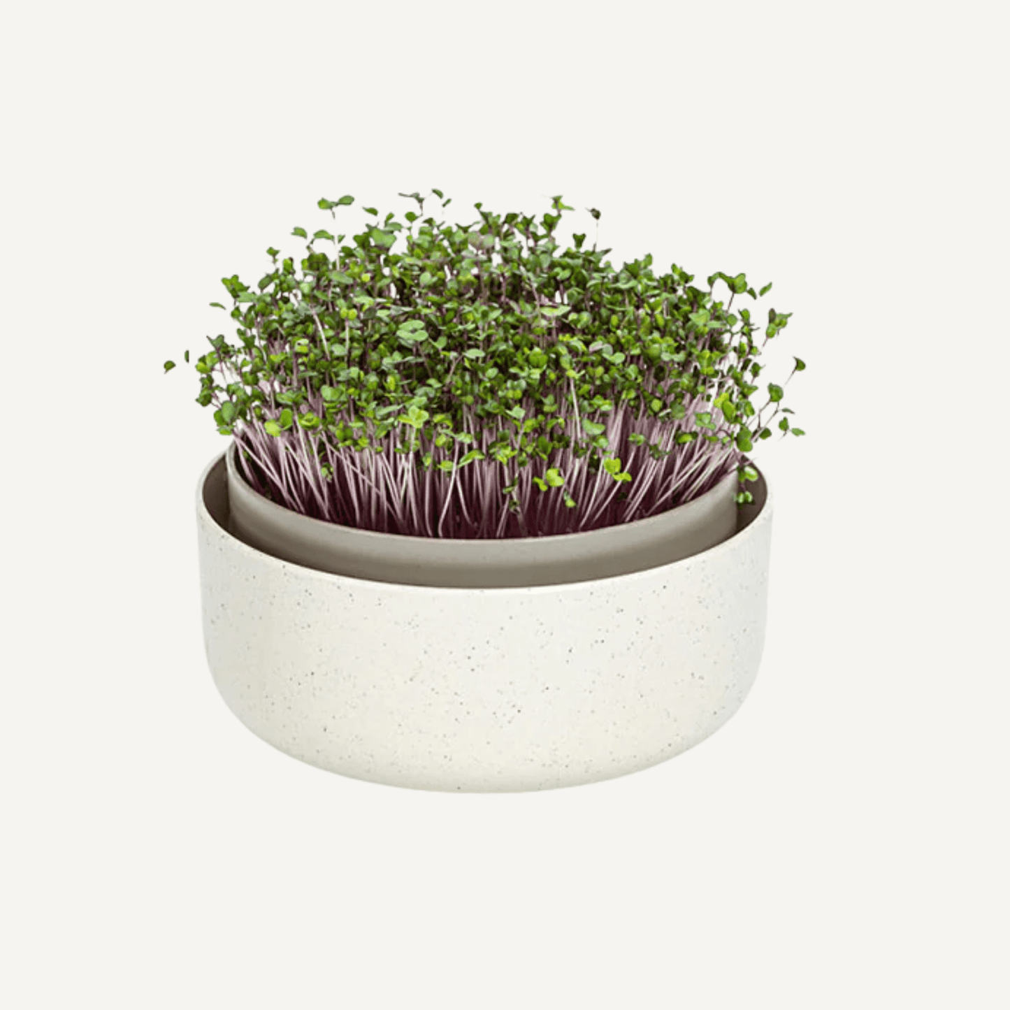 Microgreens Sprouting Kit Home & Garden > Garden Accessories > Planting - Minimalist Gardener