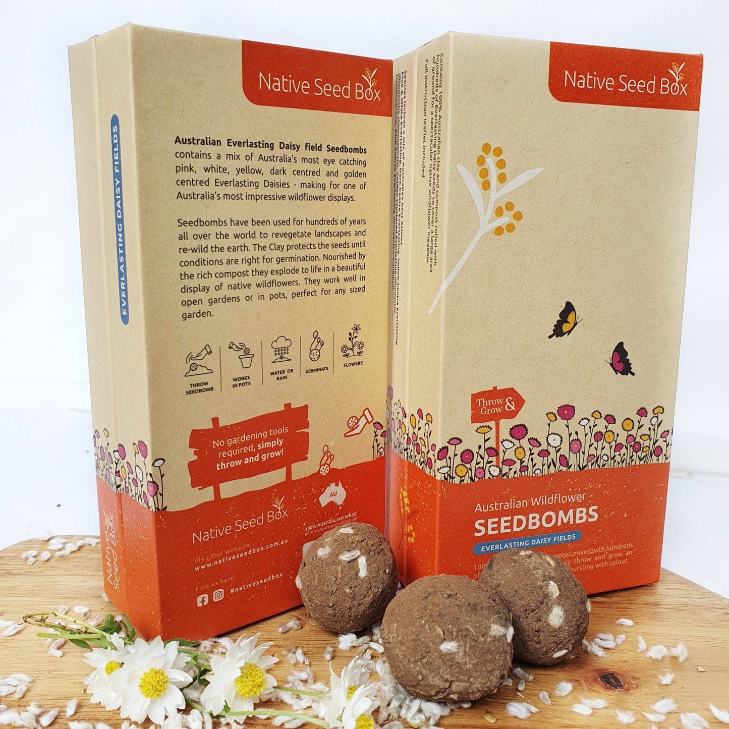 Native Seed Bombs Everlasting Daisy Fields Home & Garden > Garden Accessories > Native Seeds - Minimalist Gardener