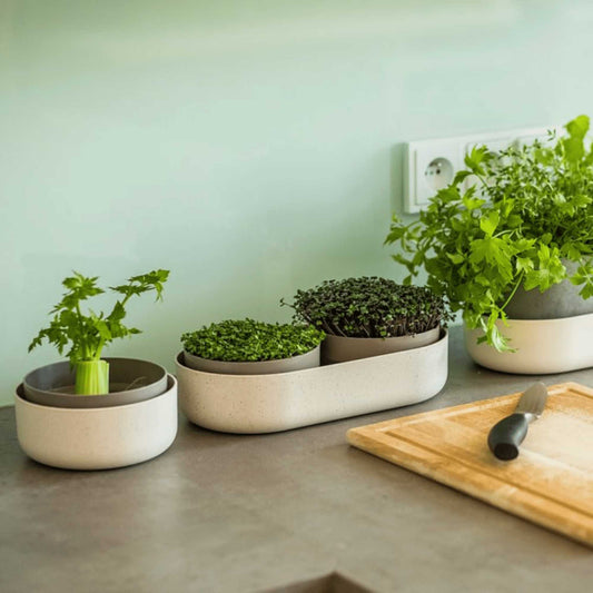 Plastia Microgreens Sprouting Kit Home & Garden > Garden Accessories > Planting - Minimalist Gardener