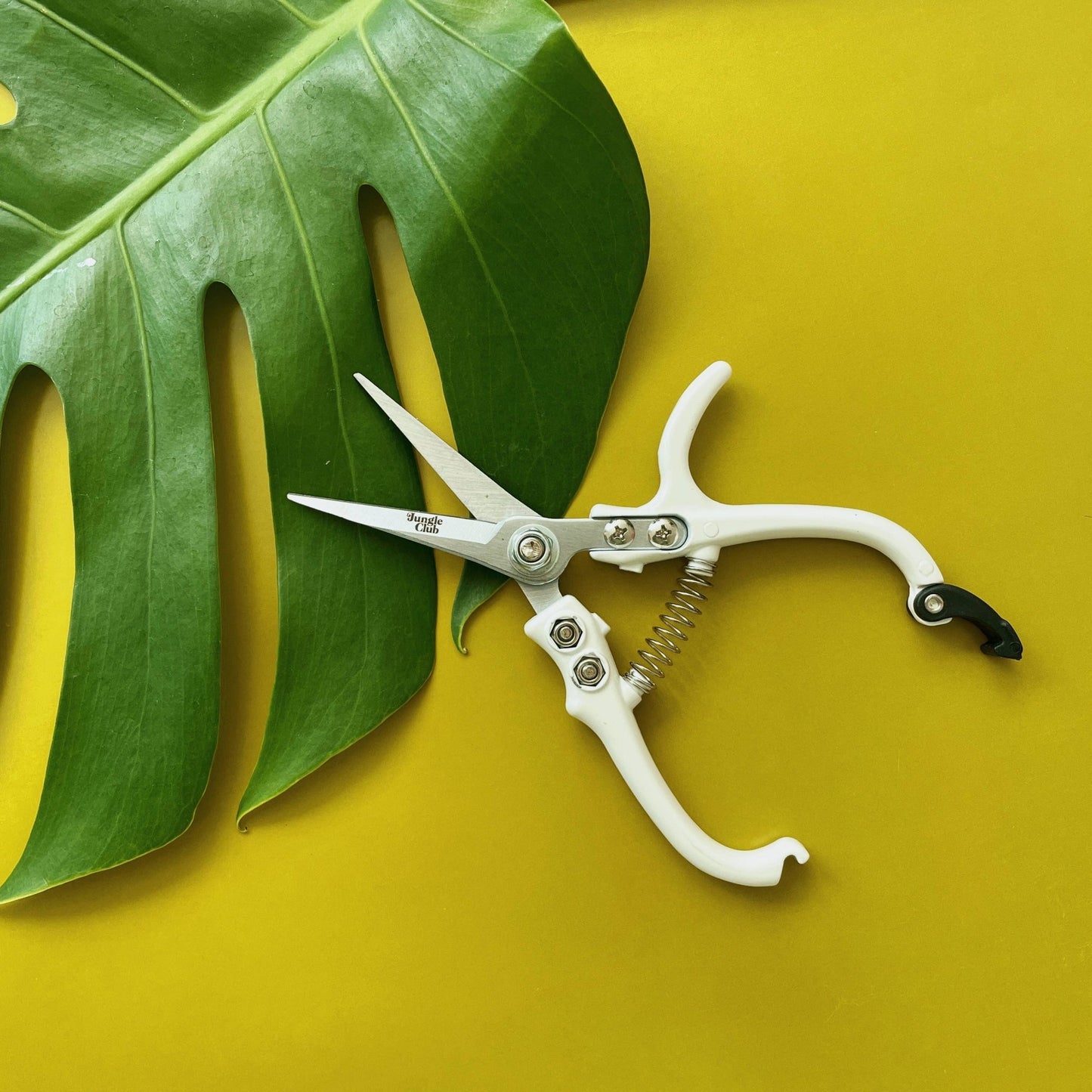 Pruning Shears White Home & Garden > Garden Tools > Shears - Minimalist Gardener
