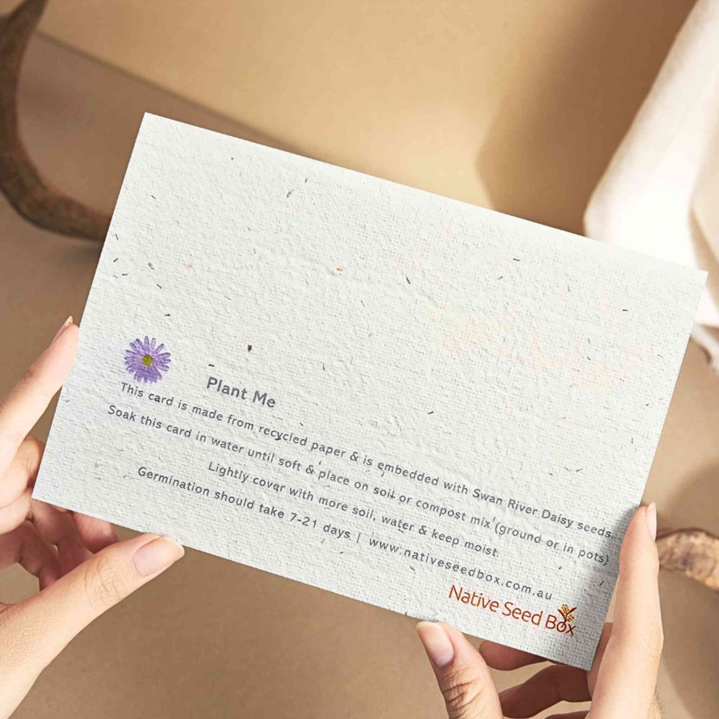 Recycled Plantable Greeting Card | Billy Buttons Gardening Gifts > Greeting Cards > Plantable Paper Card - Minimalist Gardener