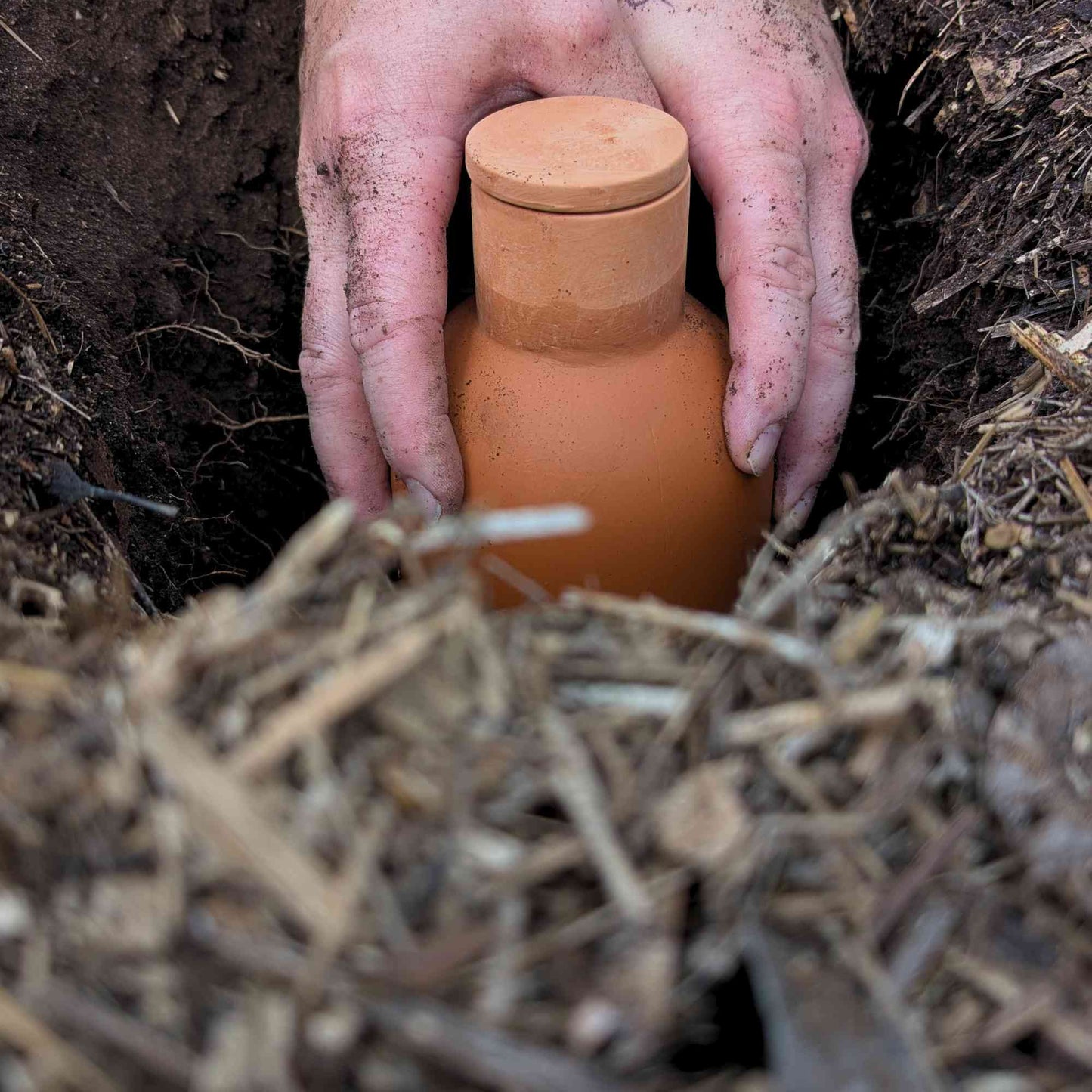 Terracotta Bottle Olla Irrigation Pots | Set of 2 Home & Garden > Garden Accessories > Watering - Minimalist Gardener