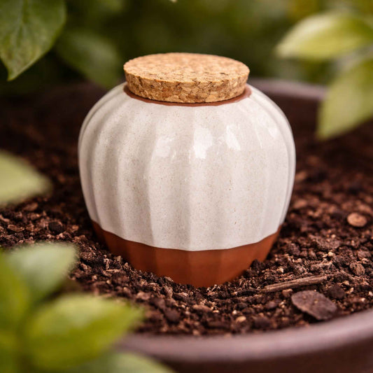 Terracotta Olla Irrigation Pot - Speckled Linen Home & Garden > Garden Accessories > Watering - Minimalist Gardener