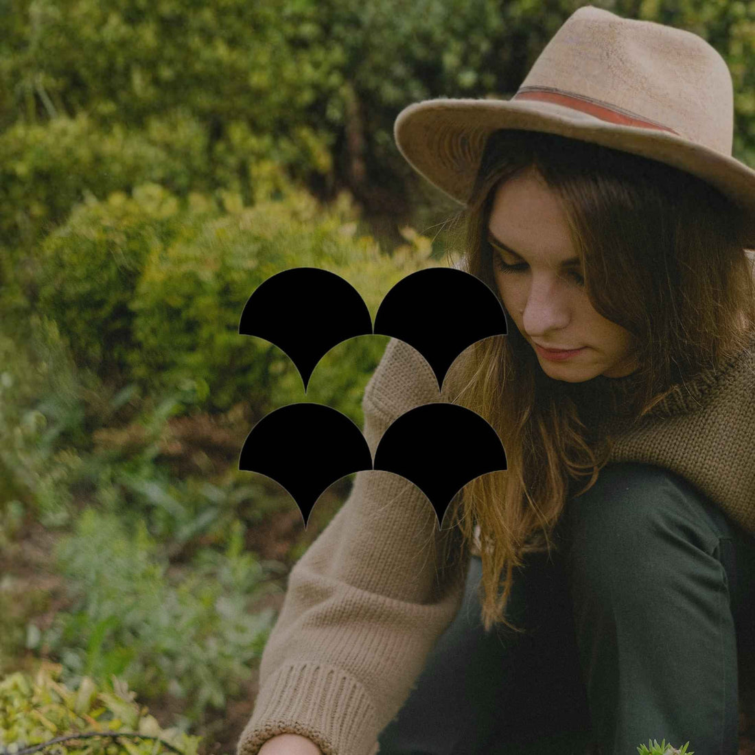 10 Australian native plants perfect for beginner gardeners - Minimalist Gardener