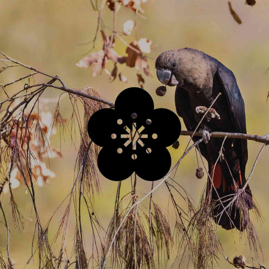 10 Australian natives to help endangered species in your garden - Minimalist Gardener