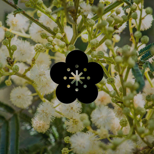 10 common garden products to avoid in an Australian native garden - Minimalist Gardener