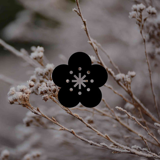 12 Australian native plants that flower in winter - Minimalist Gardener