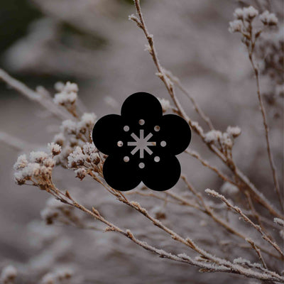 12 Australian native plants that flower in winter - Minimalist Gardener