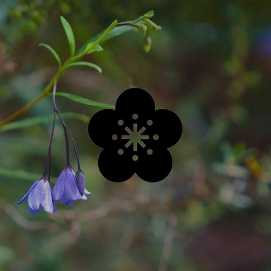 12 Australian native plants with beautiful bell-shaped flowers - Minimalist Gardener
