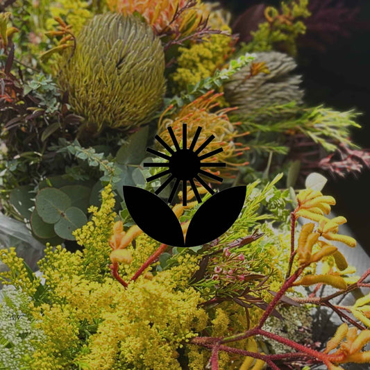 14 Australian natives to grow for your own cut flowers - Minimalist Gardener