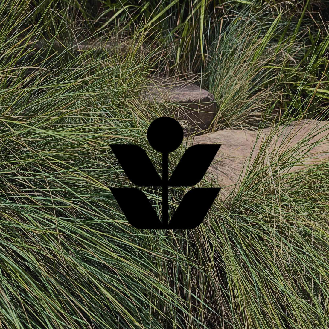 15 Australian native grasses for added texture in your garden - Minimalist Gardener