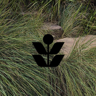 15 Australian native grasses for added texture in your garden - Minimalist Gardener