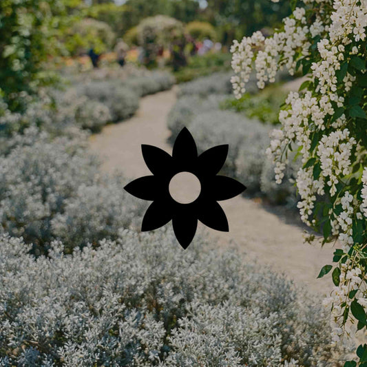 20 deep-rooted Australian native plants adapted to heat - Minimalist Gardener