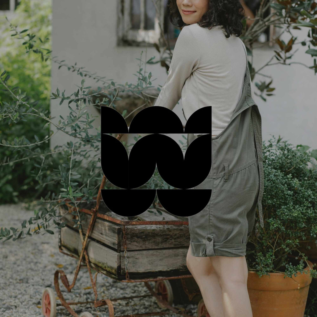 5 common mistakes in Australian native gardens (and the fix) - Minimalist Gardener