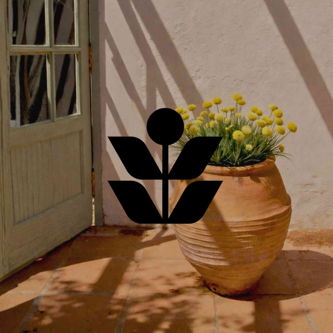 5 signs your potted Australian native plants need fertilising - Minimalist Gardener