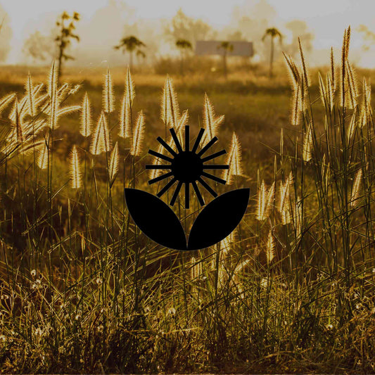 5 ways to protect your Australian garden in a heatwave - Minimalist Gardener