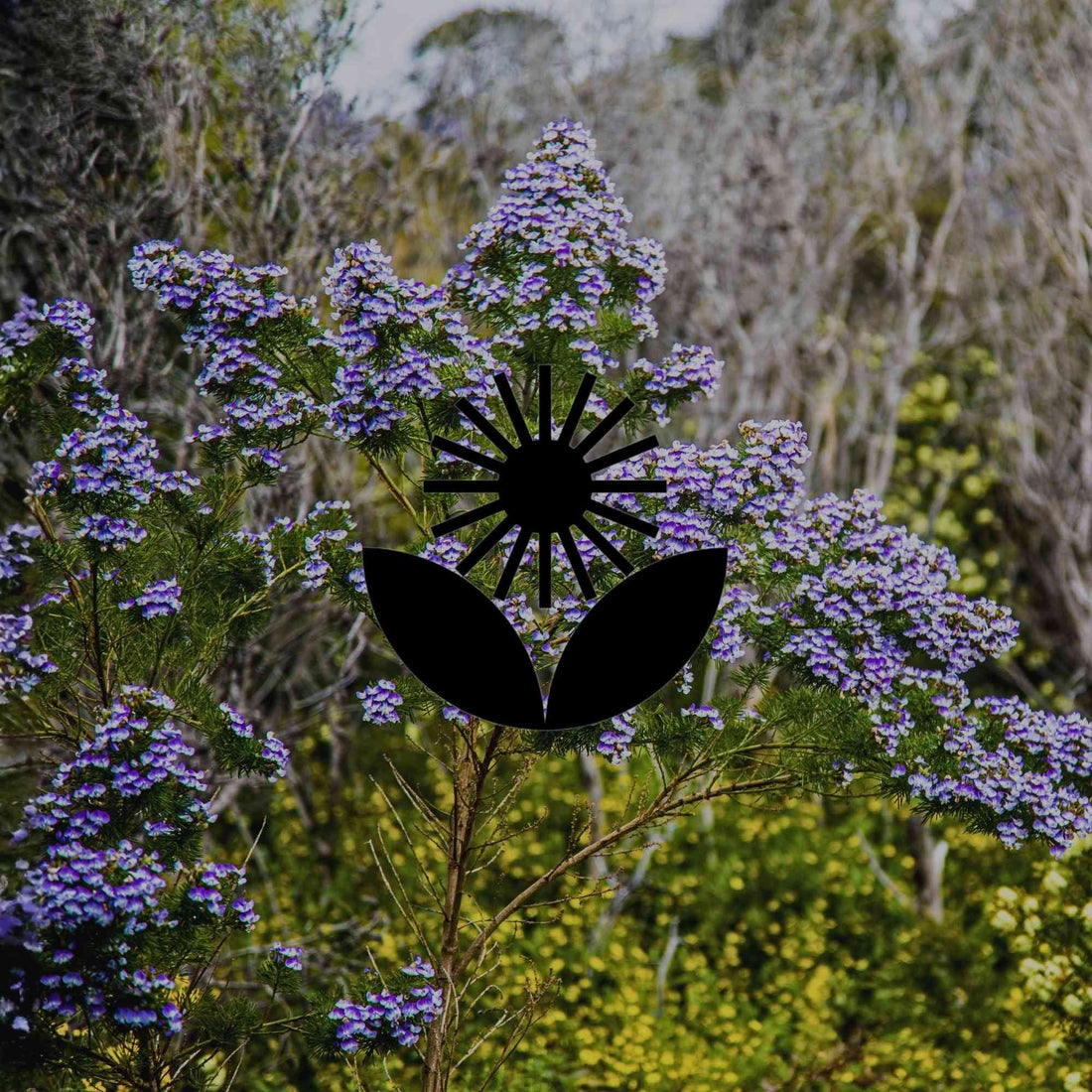 6 native plant pairings from the wild to try in your home garden - Minimalist Gardener