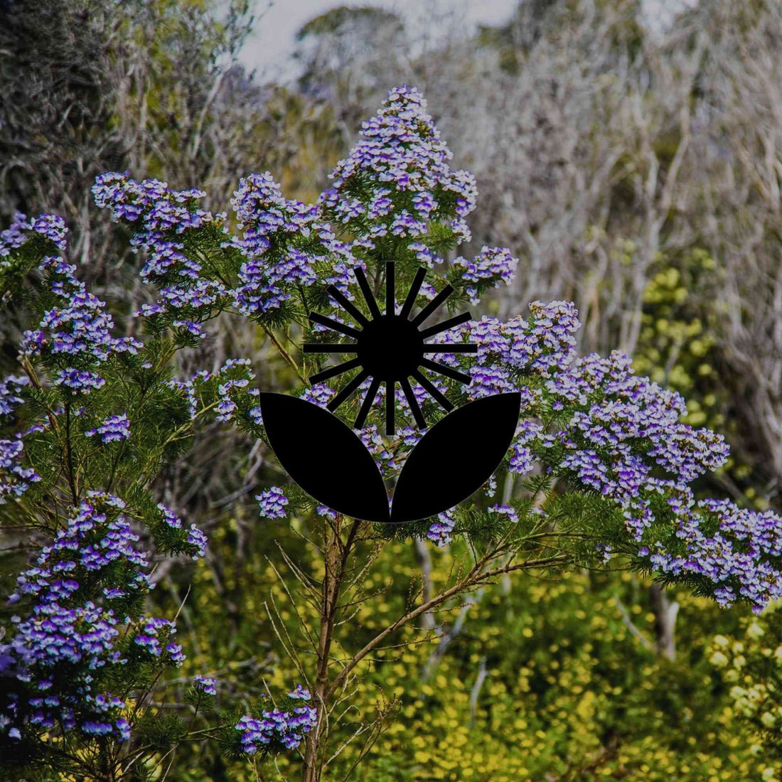 6 native plant pairings from the wild to try in your home garden - Minimalist Gardener