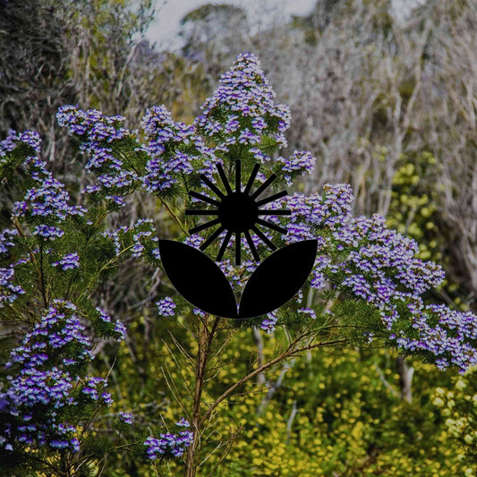 6 native plant pairings from the wild to try in your home garden - Minimalist Gardener