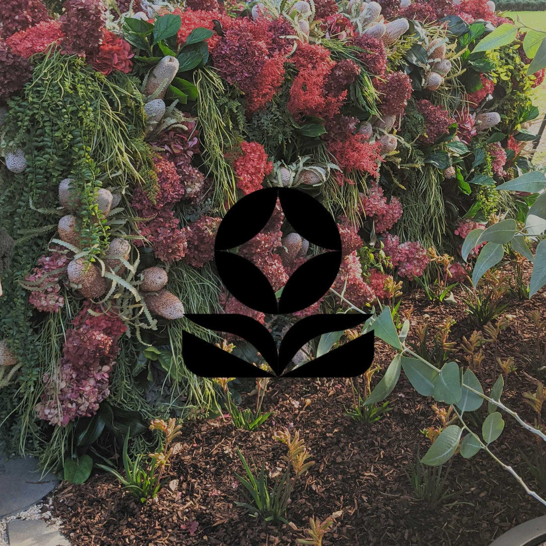 6 plants to avoid in your Australian garden (and what to plant instead) - Minimalist Gardener