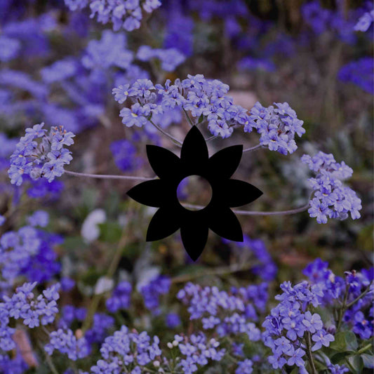 13 perfectly purple Australian native garden plants
