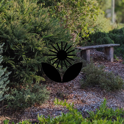 Australian native plants for a bush-style garden