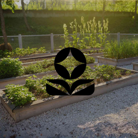 Why add a few Australian natives to your vegetable patch