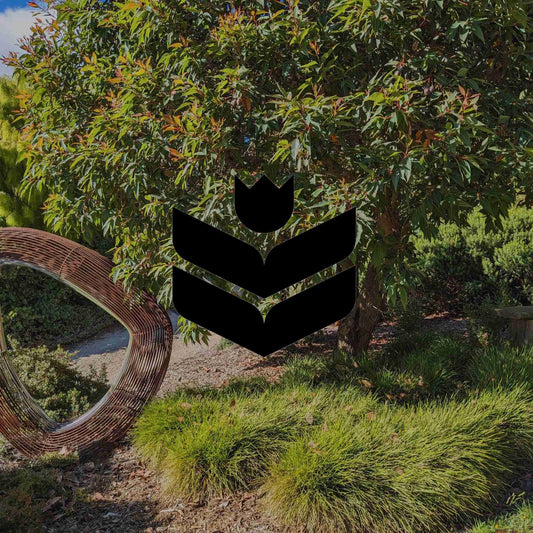 A trend in Australian gardens: Regenerative, native and resilient - Minimalist Gardener