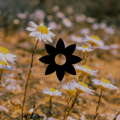 Australian native garden maintenance guide by climate zone - Minimalist Gardener