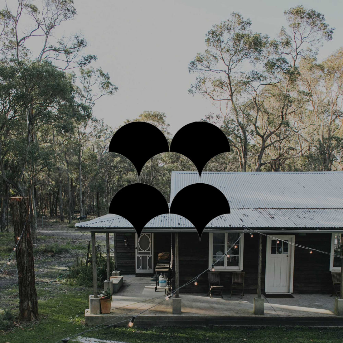 Australian native plants for cottage style gardens - Minimalist Gardener