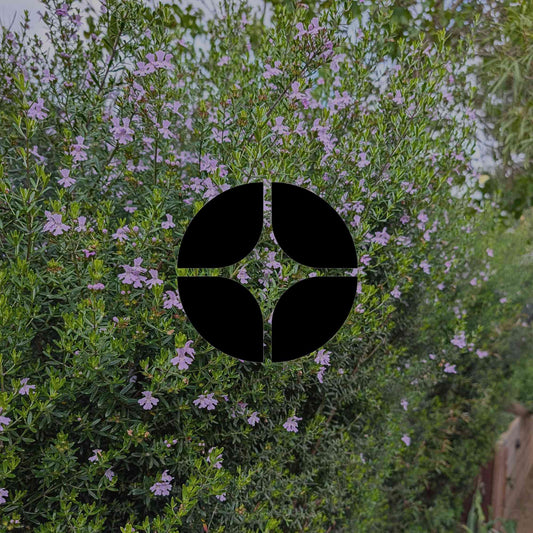 Australian native plants for screening and privacy - Minimalist Gardener