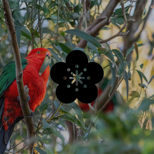 Australian native plants to grow under eucalyptus trees - Minimalist Gardener