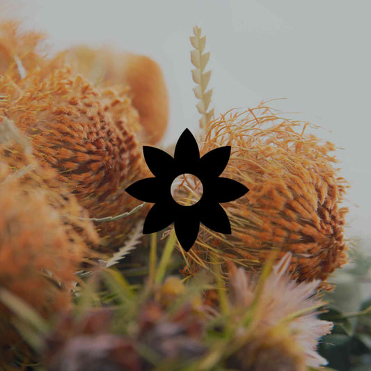 Australian natives better suited to bushland than backyards - Minimalist Gardener