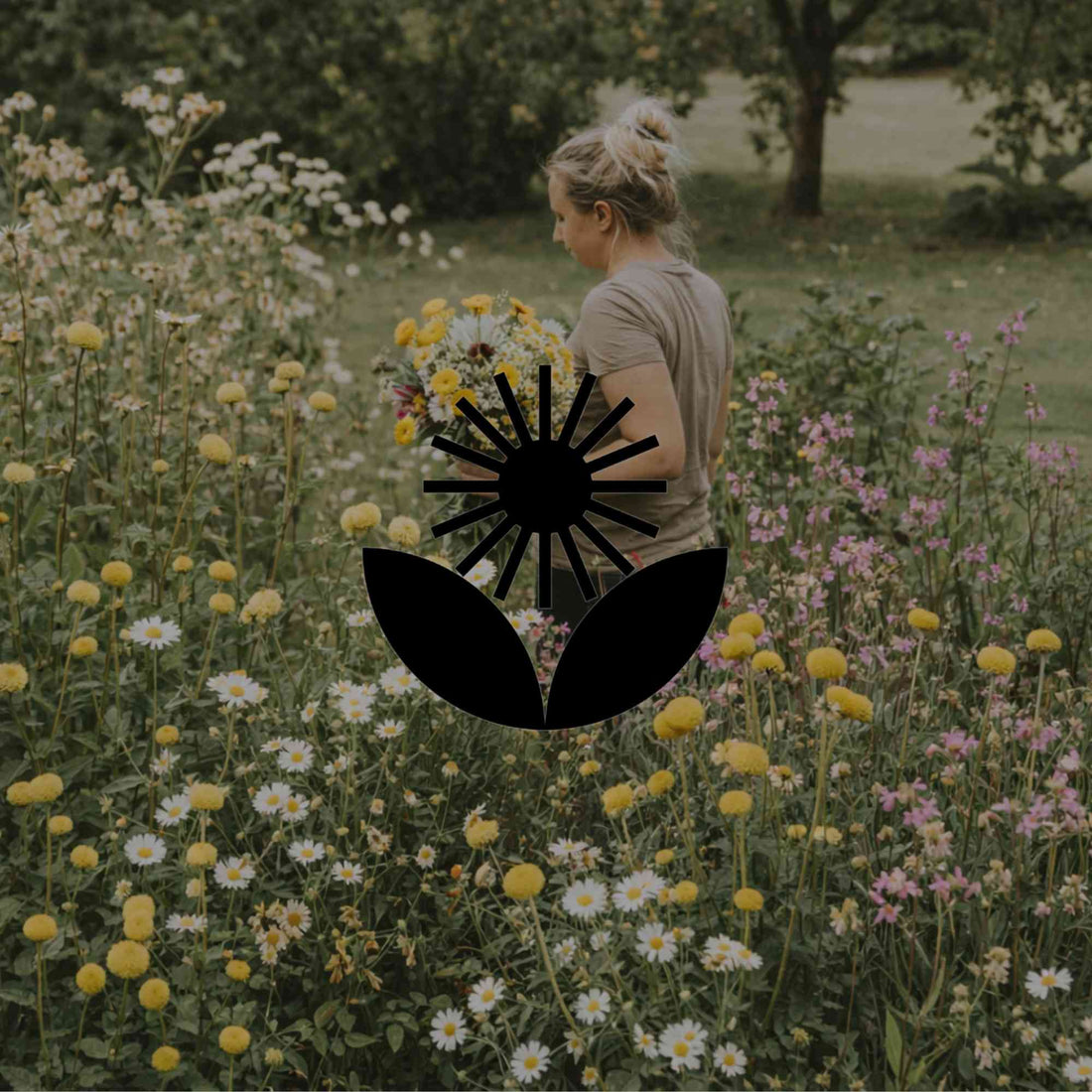Autumn gardening with Australian natives by climate zone - Minimalist Gardener