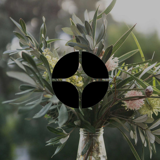 Can rice and pasta water feed your plants? - Minimalist Gardener