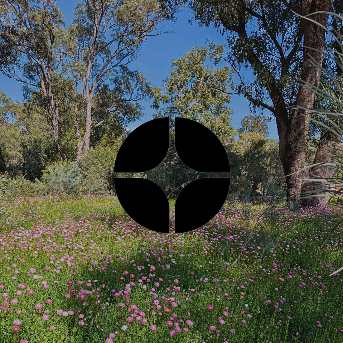 Canopy, mid-storey and ground: Layered planting with natives - Minimalist Gardener