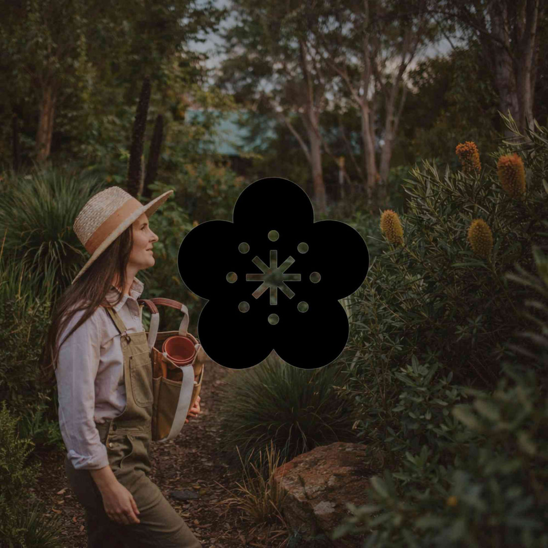 Choosing garden tools suited to Australian native plants - Minimalist Gardener